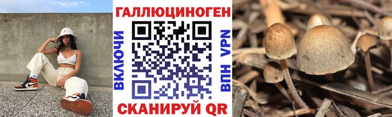 Галлюциногенные грибы прущие грибы Лодейное Поле