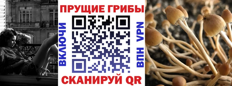 Псилоцибиновые грибы мухоморы Лодейное Поле